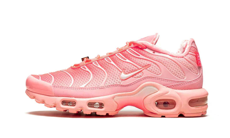 Nike air max plus atlanta 49